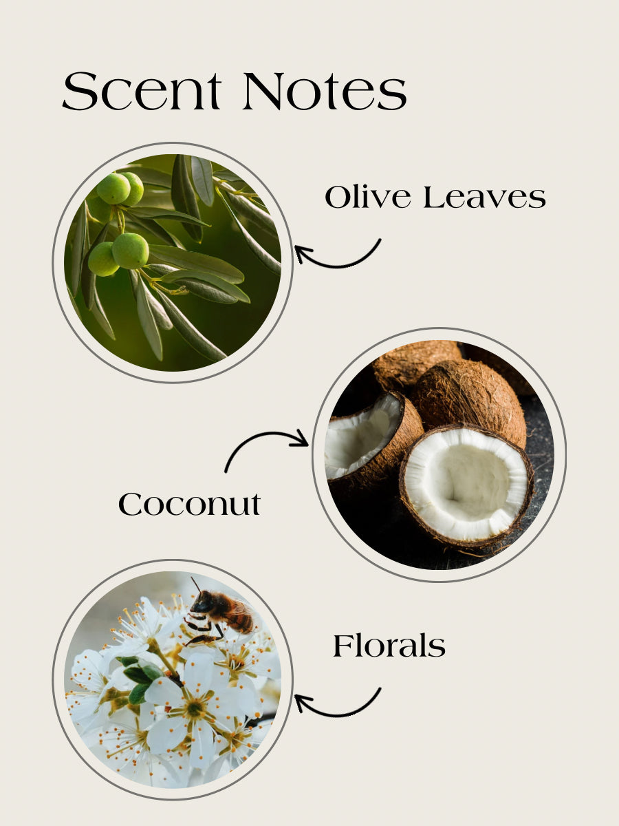 Olive Leaves-Wooden wick candle