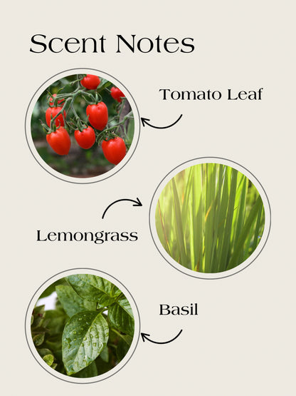 Tomato Leaf-Wooden wick candle